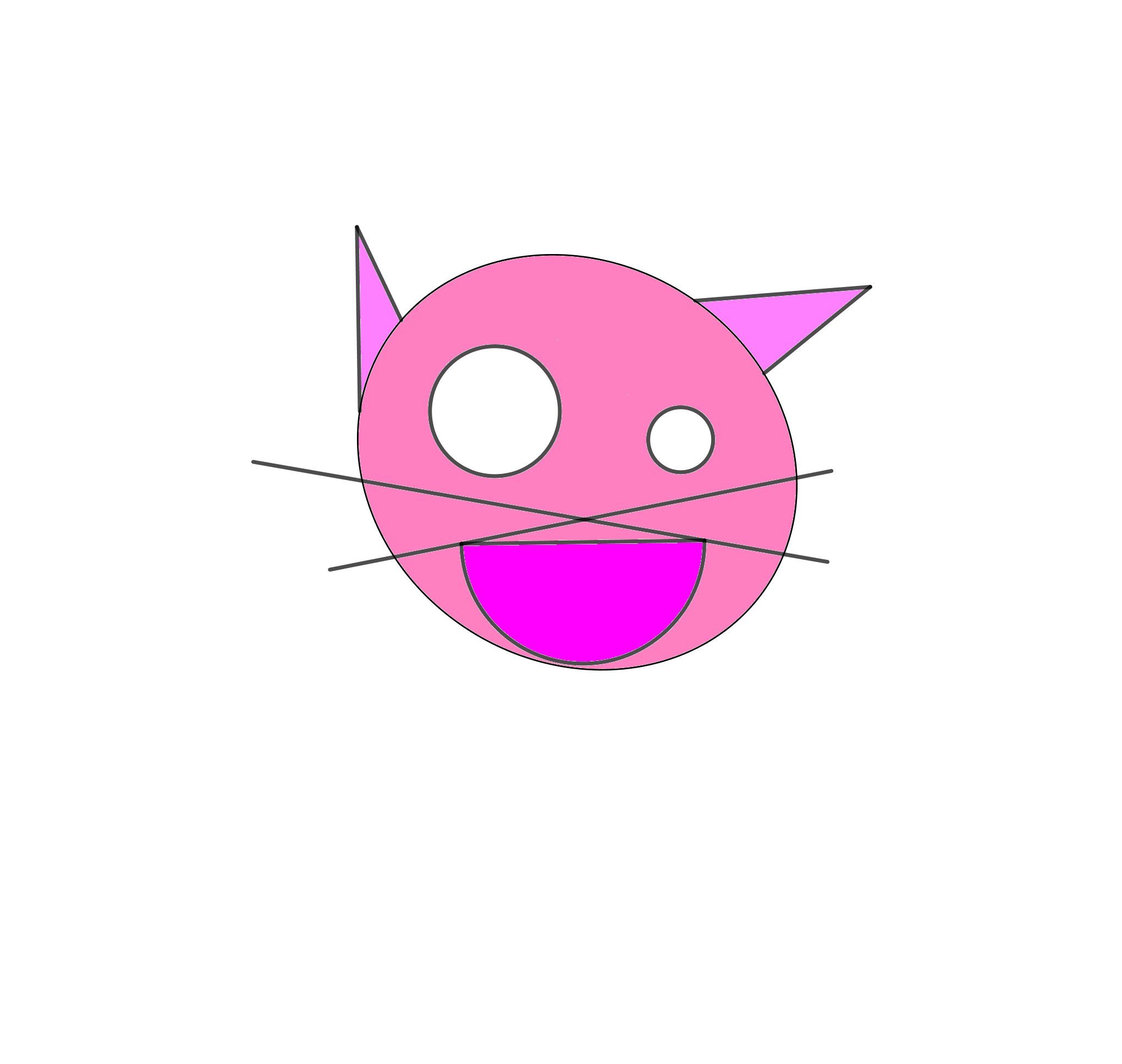 petit_chat_voisin_el_hammar
