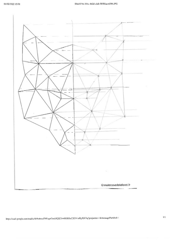 figures sixieme-003